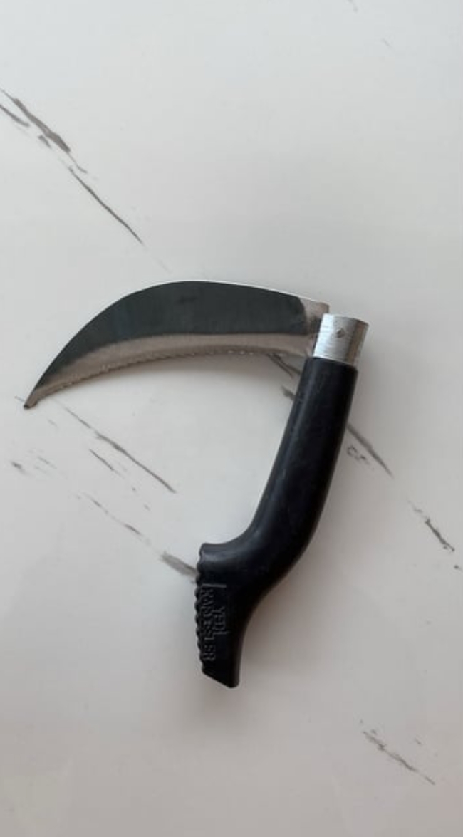 Ot Testeresi Küçük
