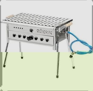 TÜPLÜ MANGAL